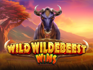Wild Wildebeest Wins thumbnail